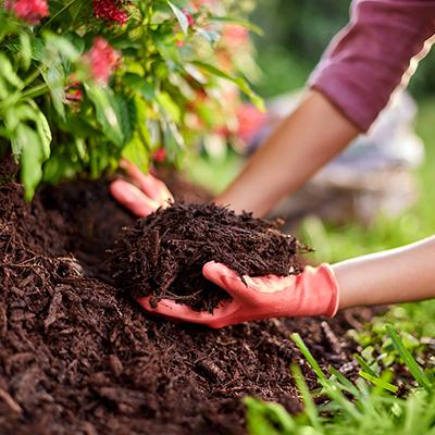 Home Depot Mulch Sale 5 For $10